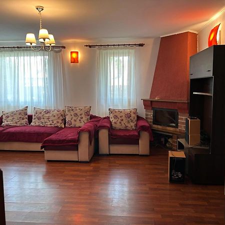 Vila De Inchiriat Aproape De Therme بالوتيشتي المظهر الخارجي الصورة