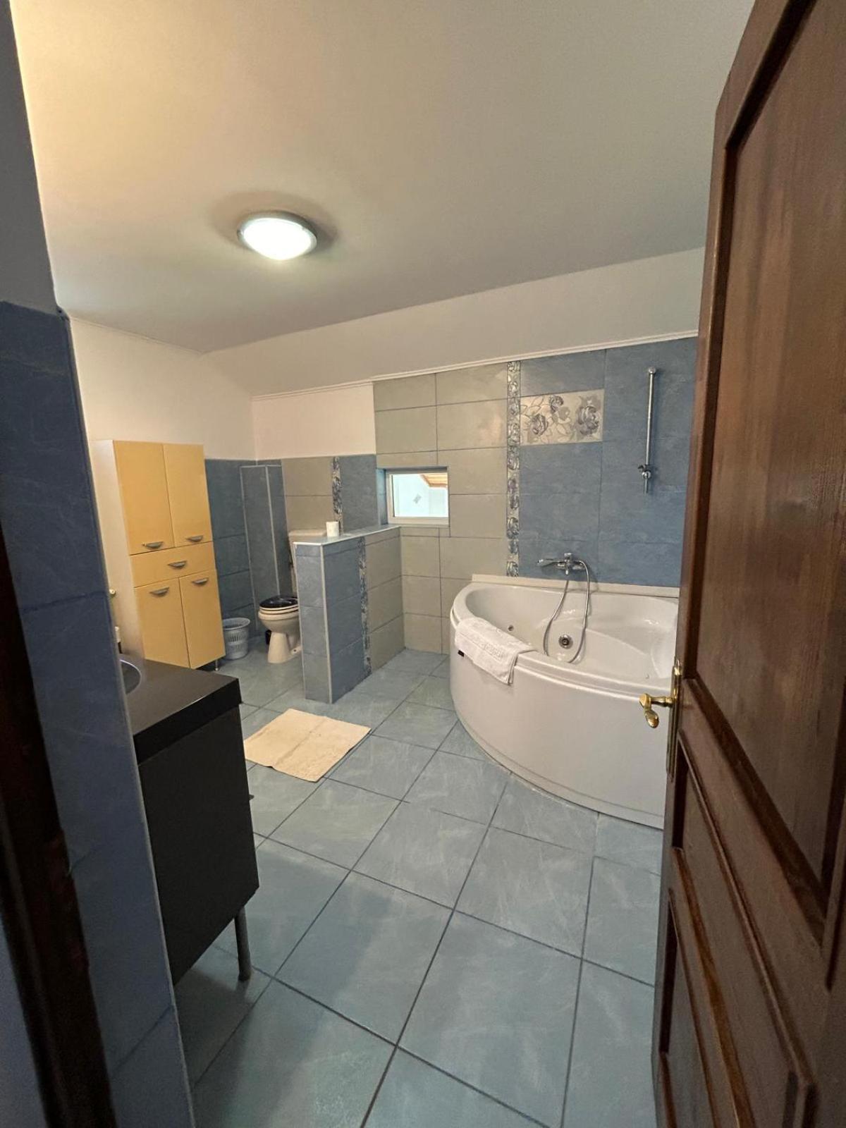 Vila De Inchiriat Aproape De Therme بالوتيشتي المظهر الخارجي الصورة