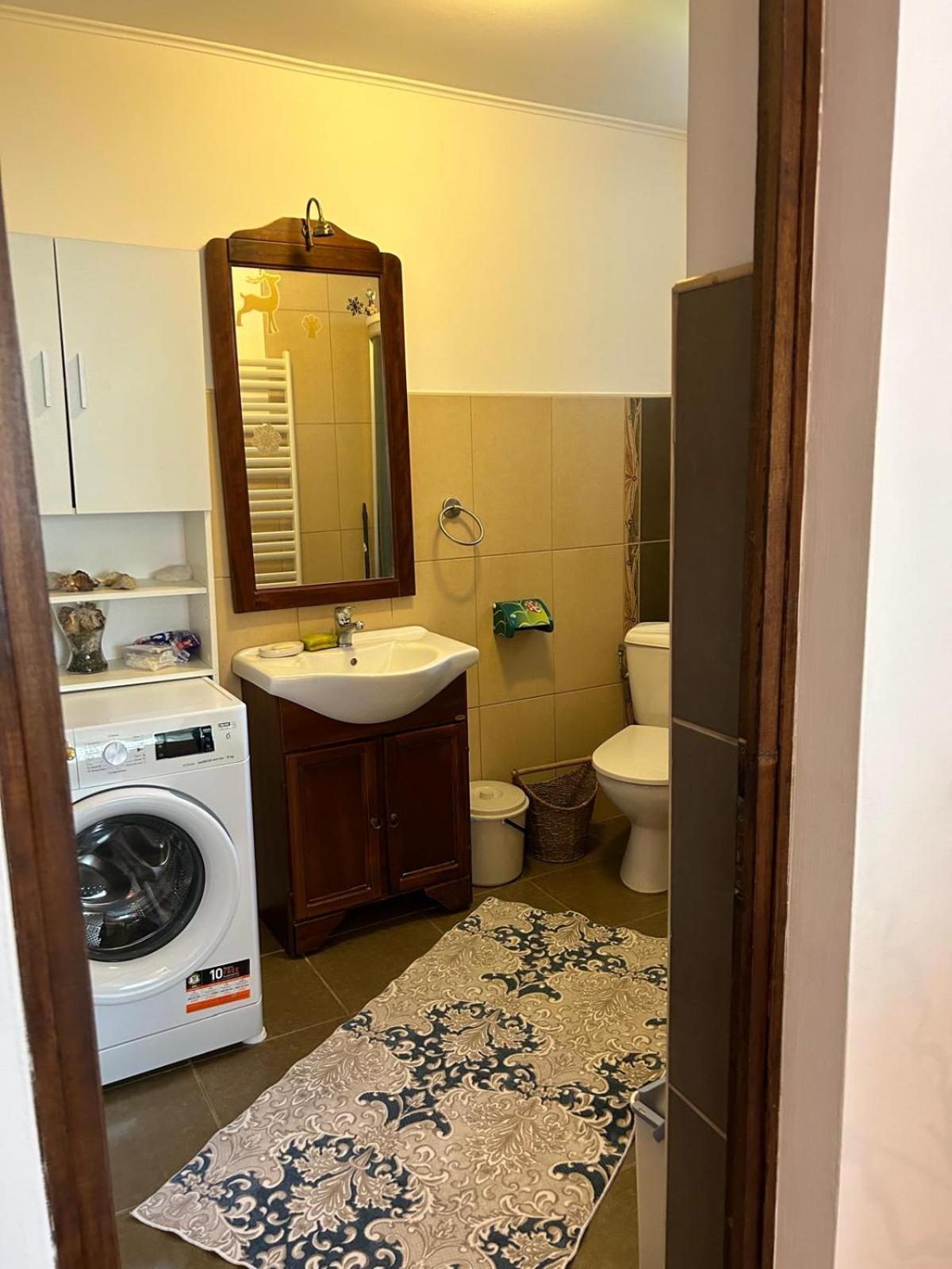 Vila De Inchiriat Aproape De Therme بالوتيشتي المظهر الخارجي الصورة