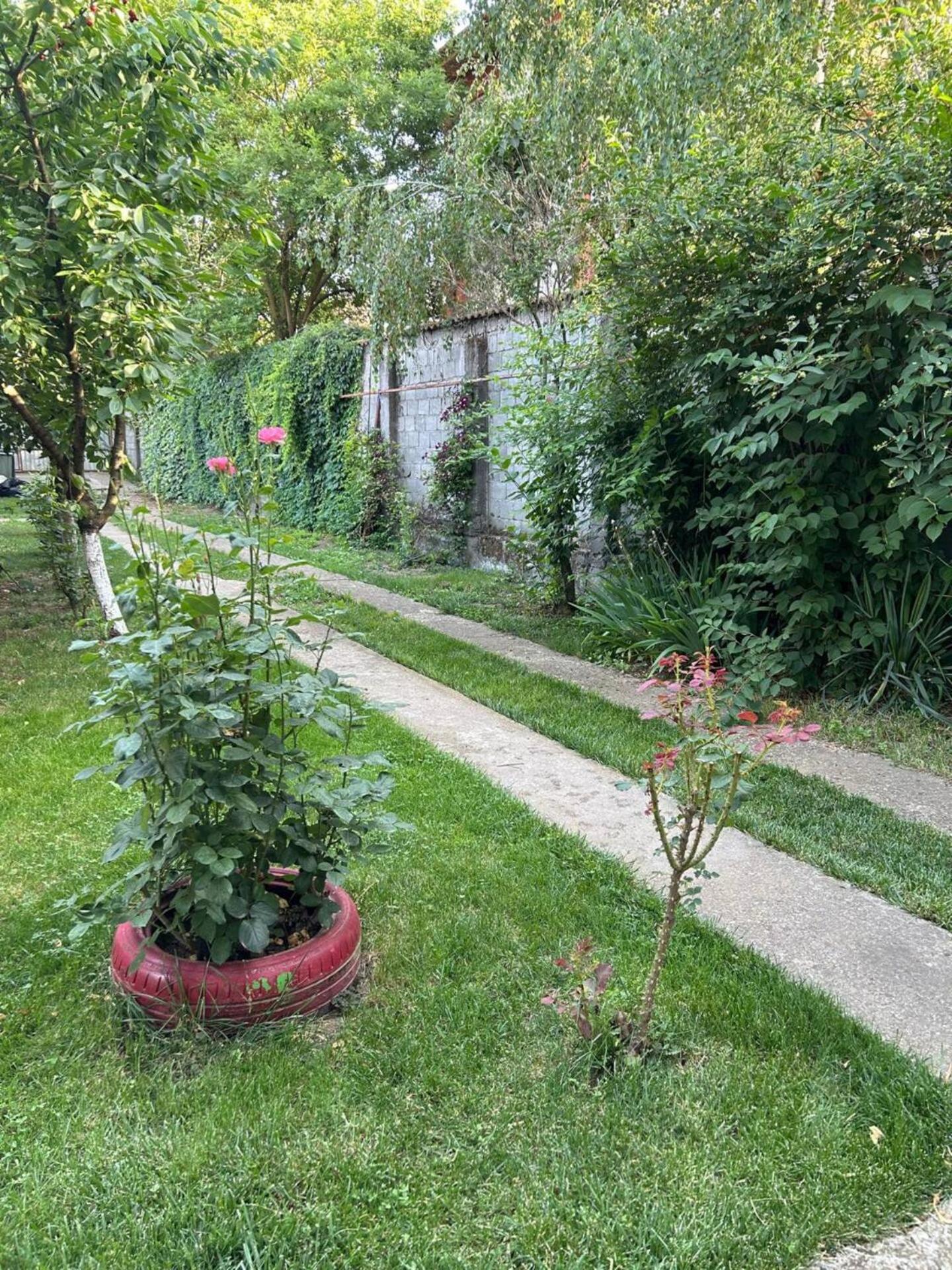 Vila De Inchiriat Aproape De Therme بالوتيشتي المظهر الخارجي الصورة